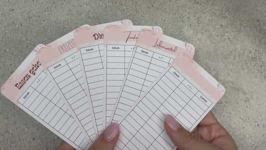 A7 Tracker / Budget Sheets Ästhetik