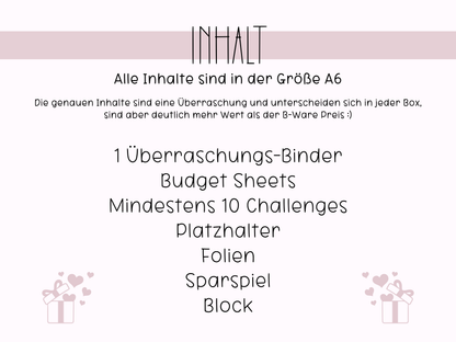 A6 Überraschungsbox B-Ware