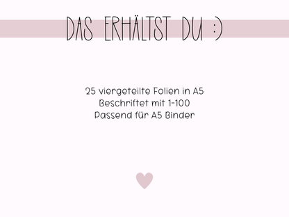 A5 25x viergeteilte Folien 1-100
