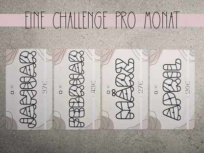 12 Monate Challenge - Budgethelden