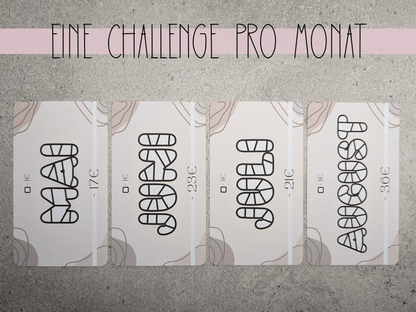 12 Monate Challenge - Budgethelden
