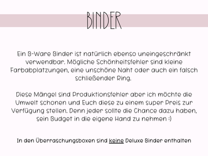 A6 Überraschungsbox B-Ware
