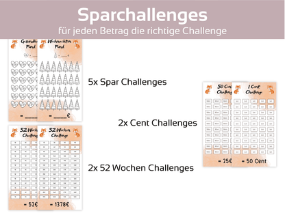 24x Sparfuchs Sparchallenges Set - Budgethelden